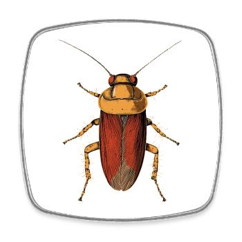 cockroach cockroach insects cockroach cockroaches - Square fridge magnet - white - Front