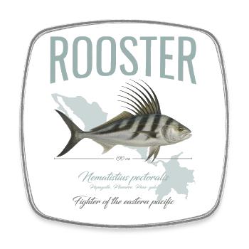 Rooster Fisch Inshore Angeln im Pazifik in Amerika - Viereckiger Kühlschrankmagnet - Weiß - Vorne