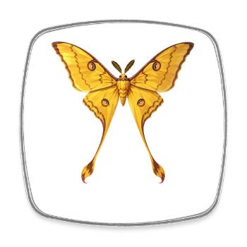 Comète Moth Argema mittrei Style Anime - Magnet carré - blanc - Devant