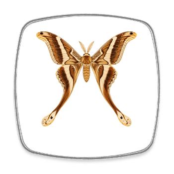 Hercules Moth Coscinocera hercules Cartoon Style - Square fridge magnet - white - Front