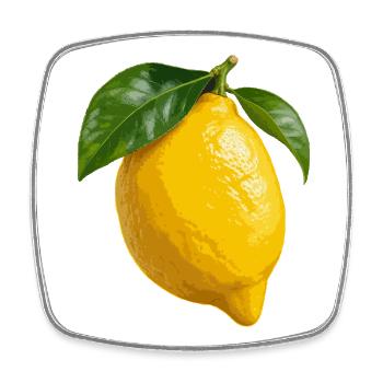 Zitrusfrüchte aus Amalfi - Viereckiger Kühlschrankmagnet - Weiß - Vorne