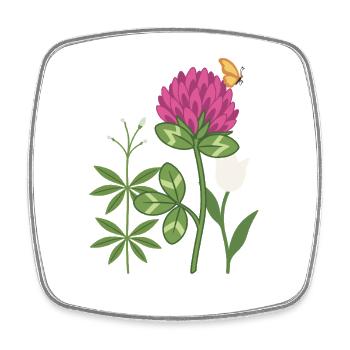 Tulpe Blumen Waldmeister Rotklee floral Zeichnung - Viereckiger Kühlschrankmagnet - Weiß - Vorne