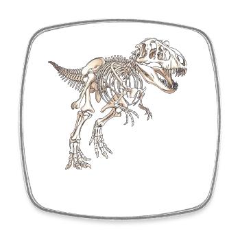 Lustiger T-Rex Tyrannosaurus Rex Dinosaurier Skelett - Viereckiger Kühlschrankmagnet - Weiß - Vorne