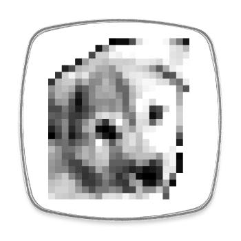 Pixel Jindo Puppy - Viereckiger Kühlschrankmagnet - Weiß - Vorne