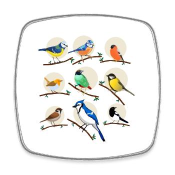 Gartenvögel, Vögel, Meisen, - Viereckiger Kühlschrankmagnet - Weiß - Vorne