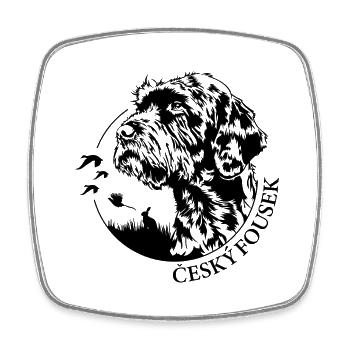 Cesky Fousek Portrait Chiens de chasse Chiens Wilsigns - Magnet carré - blanc - Devant