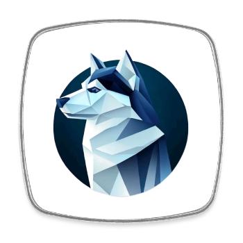 Chien husky comme un loup - Magnet carré - blanc - Devant