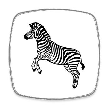 zebra Botswana Plains zebra - Square fridge magnet - white - Front