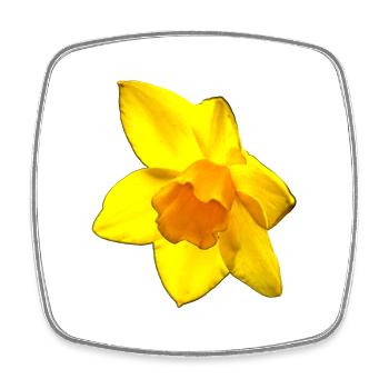 Flower, A731126 - Square fridge magnet - white - Front