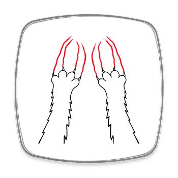 Cats, Claws, Paws, Paws, Claws, Scratches, Stripes - Square fridge magnet - white - Front