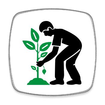 Baum Pflanzen Garten Umwelt - Viereckiger Kühlschrankmagnet - Weiß - Vorne