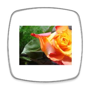 Rose orange à feuilles vertes - Magnet carré - blanc - Devant