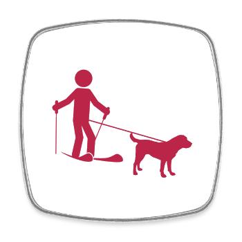 Skijoring Zughund Skijoering-Team - Magnet carré - blanc - Devant
