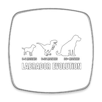 Évolution du Labrador - Magnet carré - blanc - Devant
