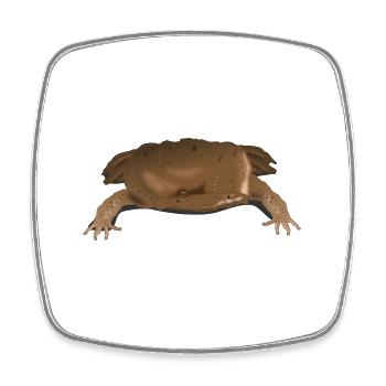 Honeycomb toad frog fans and amphibians lovers - Square fridge magnet - white - Front