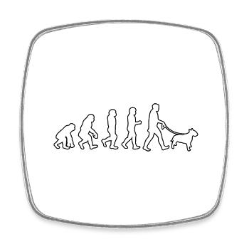 EVOLUTION Labrador - Viereckiger Kühlschrankmagnet - Weiß - Vorne