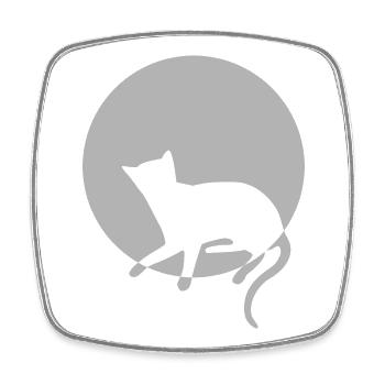 Katze Katze Katze Katze Katze Katze Mieze - Viereckiger Kühlschrankmagnet - Weiß - Vorne
