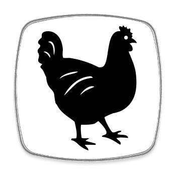chicken - Square fridge magnet - white - Front