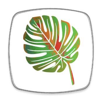 Monstera Blatt - Viereckiger Kühlschrankmagnet - Weiß - Vorne