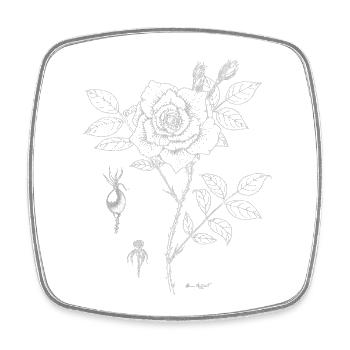 Rose Botanical Plate - Square fridge magnet - white - Front