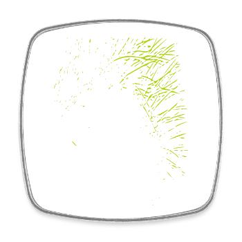 Abstract design / line / green / pattern / nature - Square fridge magnet - white - Front