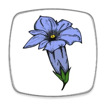 Gentian, drawn - Square fridge magnet - white - Front