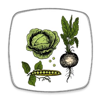 Vintage Vegetable Botanical Illustration - Square fridge magnet - white - Front