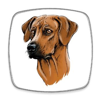 Rhodesian Ridgeback - Magnet carré - blanc - Devant