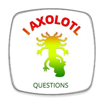 Axolotl - Square fridge magnet - white - Front
