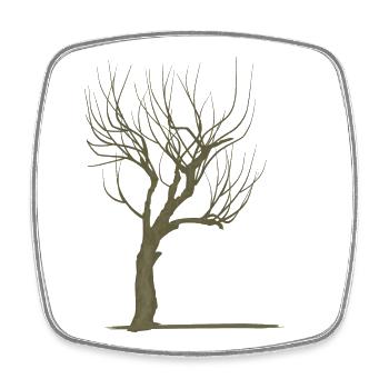 Tree without leaves - modificated - Square fridge magnet - white - Front