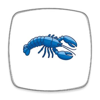 Blue Lobster Drôle de dicton Incroyablement cool Maine - Magnet carré - blanc - Devant
