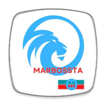 LOGO LÖWE MARBOSSTA - Viereckiger Kühlschrankmagnet - Weiß - Vorne