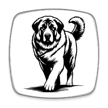 Kangal - Viereckiger Kühlschrankmagnet - Weiß - Vorne