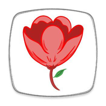 Rote Blume - Viereckiger Kühlschrankmagnet - Weiß - Vorne