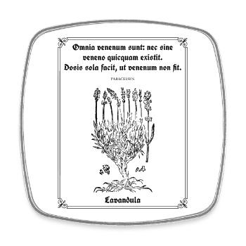 Lateinisches Zitat von Paracelsus – Lavendel Illustration - Viereckiger Kühlschrankmagnet - Weiß - Vorne