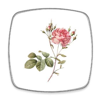 Illustration botanique de rose vintage - Magnet carré - blanc - Devant
