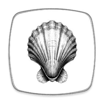 Superbe illustration de coquillage - Magnet carré - blanc - Devant