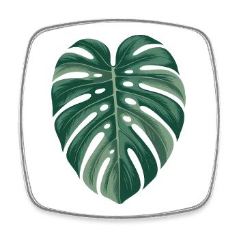 Tropische Monstera-Blatt-Illustration - Viereckiger Kühlschrankmagnet - Weiß - Vorne