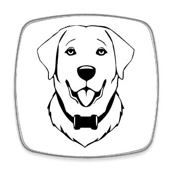 Golden Tertriever Dog T-shirt Dog Head Gift - Square fridge magnet - white - Front