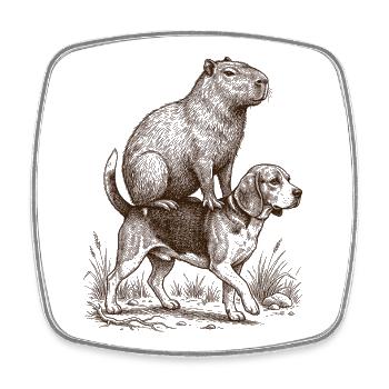 Amateur de chien beagle chevauchant un capybara drôle - Magnet carré - blanc - Devant