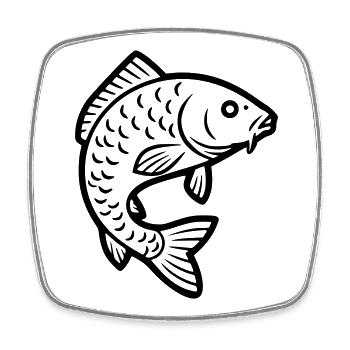 Carp Jumping Fish Fishing - Square fridge magnet - white - Front