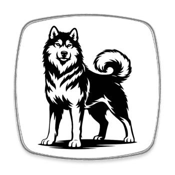 Alaskan Malamute in stolzer Pose - Viereckiger Kühlschrankmagnet - Weiß - Vorne