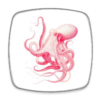 Vintage Octopus Illustration in Red & Pink - Square fridge magnet - white - Front