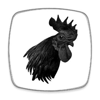 Ayam Cemani - Chicken Fans - Rooster - Rooster - Square fridge magnet - white - Front