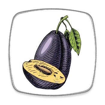 Plum fruit - Square fridge magnet - white - Front