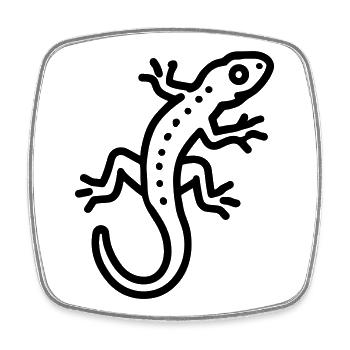 lizard - Square fridge magnet - white - Front
