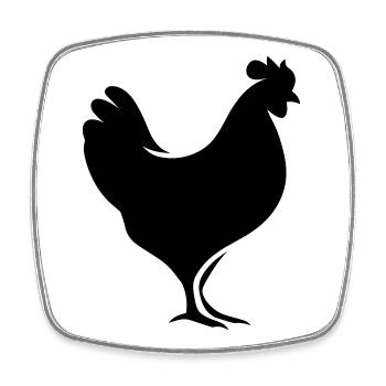 Huhn - Viereckiger Kühlschrankmagnet - Weiß - Vorne