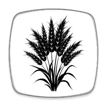 Toi Toi Gras - Viereckiger Kühlschrankmagnet - Weiß - Vorne
