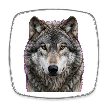 Midnight Wolf Portrait - Square fridge magnet - white - Front