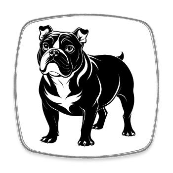 Bouledogue anglais - Magnet carré - blanc - Devant